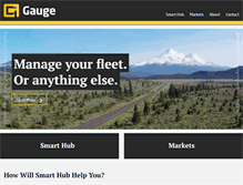 Tablet Screenshot of gaugesmart.com